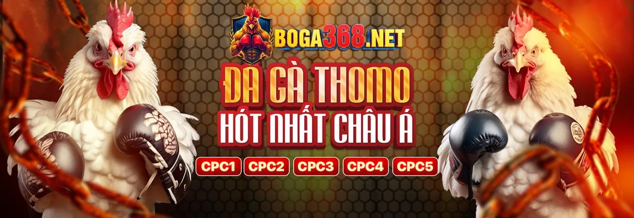 Các cấp độ VIP khác nhau của thbbet