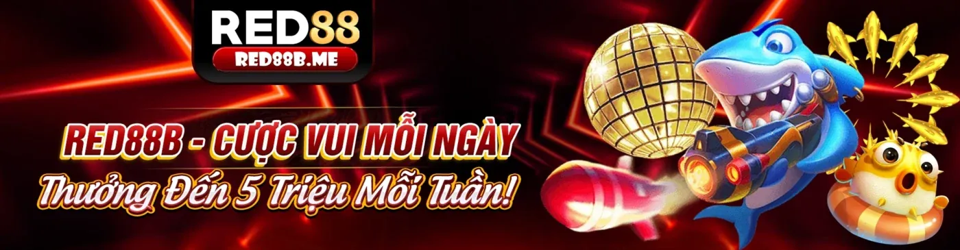 Hướng dẫn đăng nhập THBBET cho người mới bắt đầu