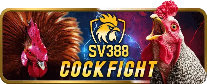Hỗ trợ 24/7 thbbet