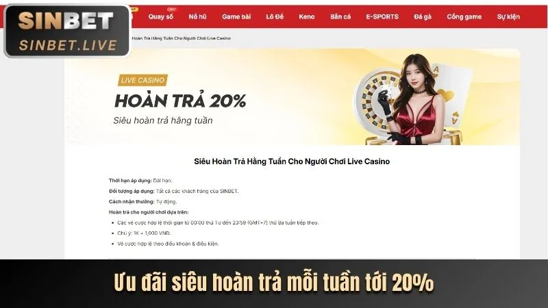 Giao diện nền tảng thbbet sau khi đăng nhập